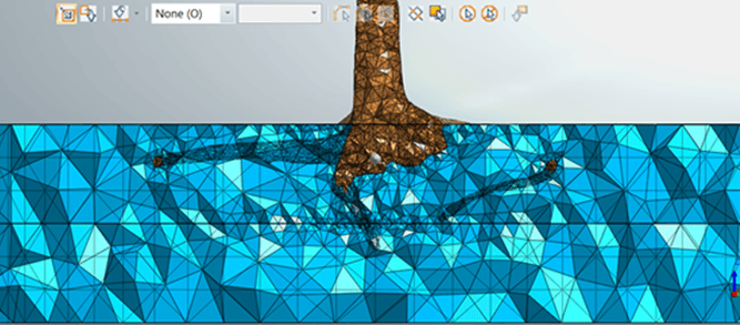 Figure 9 Bonded contact interface in S. Saman tree_
